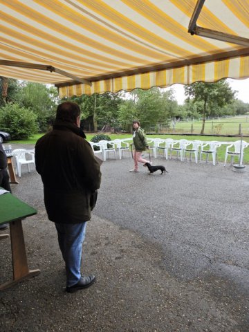 Zuchtschau 08.09.2019